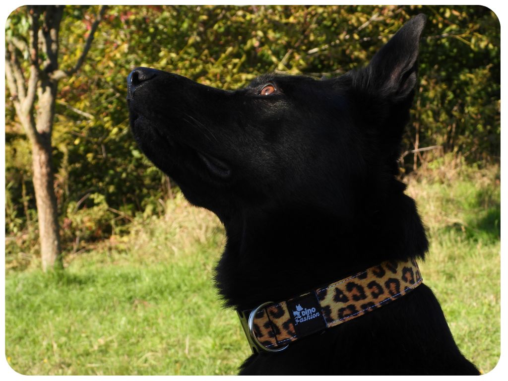 Návrh bez názvu - 2025-10-22T112524.223